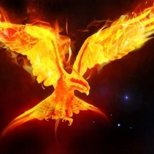 Meet your Posher, Hanna phoenix